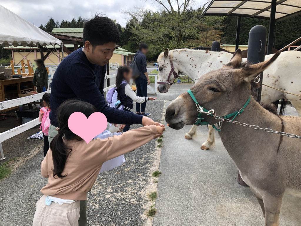 富士山こどもの国にてエサやり体験