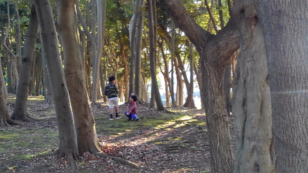 公園にて小人を探す息子たち